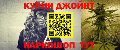 сатива Заводоуковск