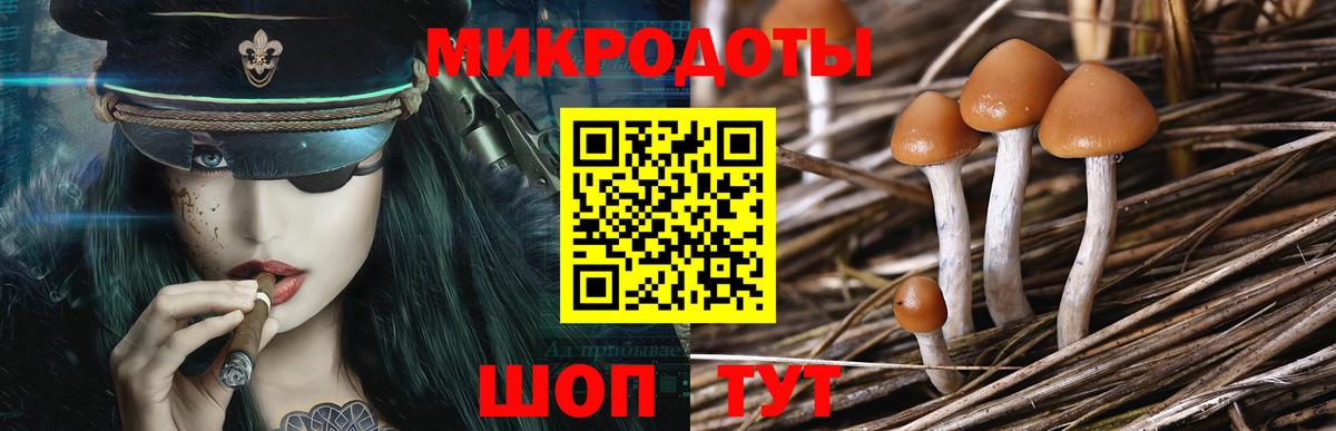 Псилоцибиновые грибы Psilocybine cubensis Энгельс